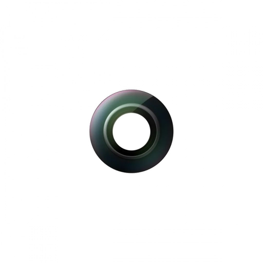 Kit de Reposição de Lente para Insta360 X5 - CINSBAHB