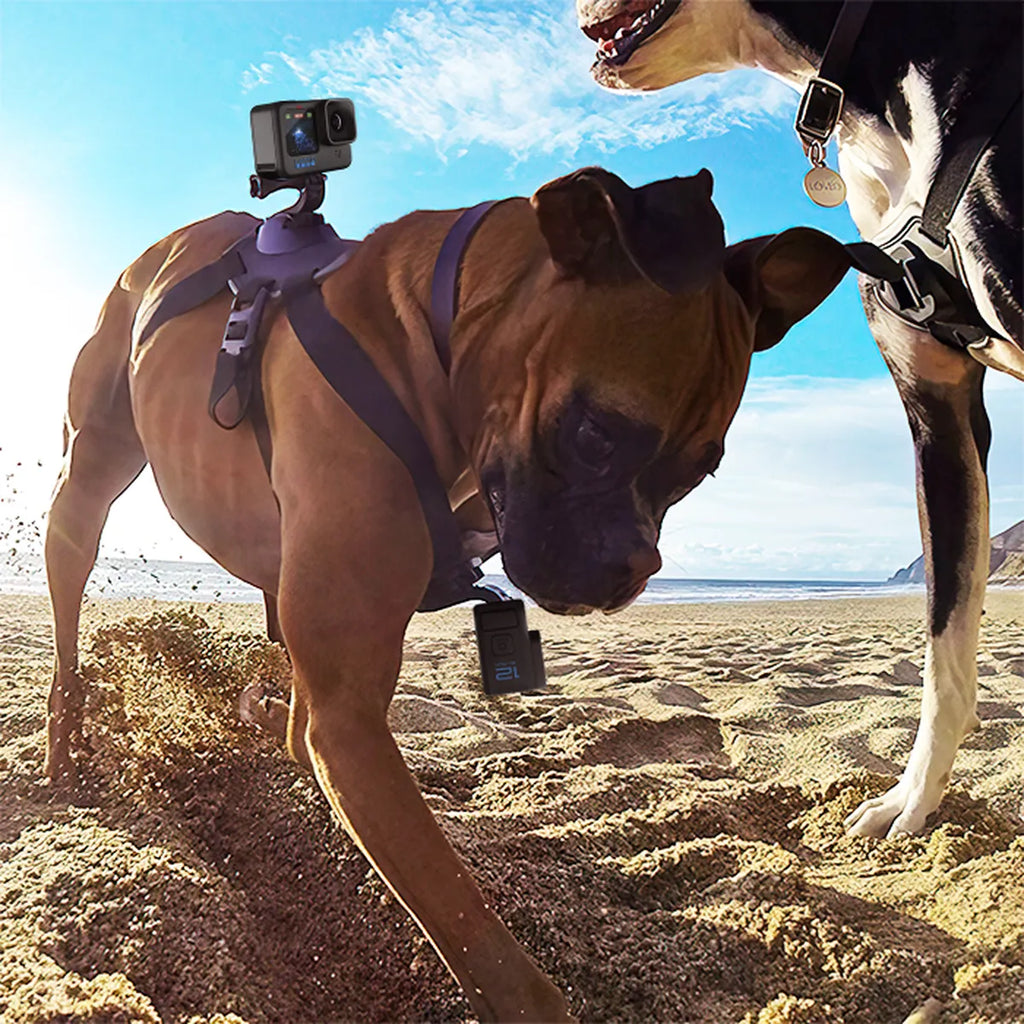 Fetch Suporte para Cachorro p/ GoPro e Câmeras de Ação