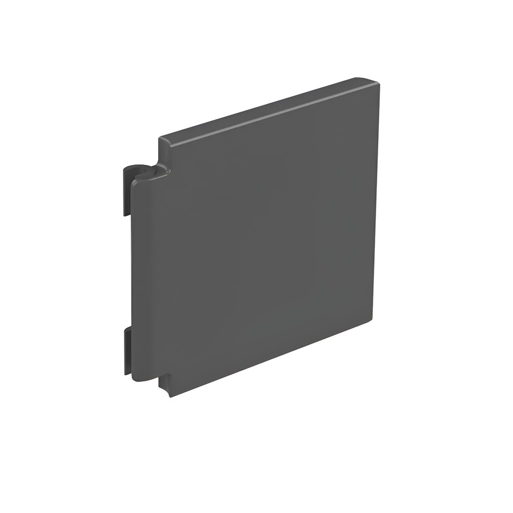 Porta Lateral de Reposição Oficial GoPro para HERO5 Session - AMIOD-001