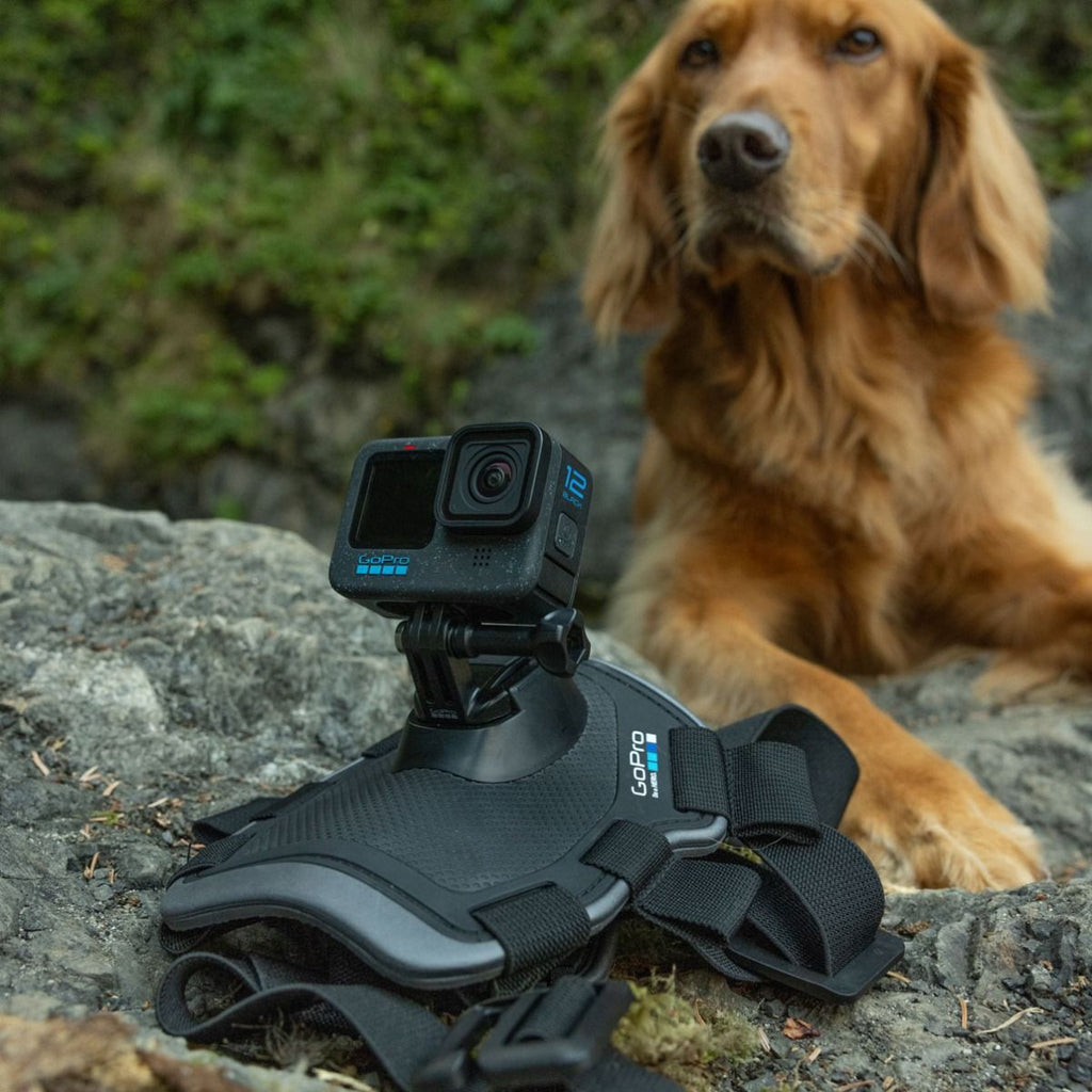 Câmera Gopro Hero 12 Black