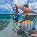 GDome Mobile PRO 2.0 - Dome para Celular