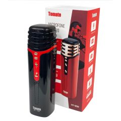 Microfone Karaoke MTG-1038