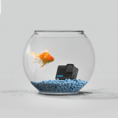 Câmera GoPro HERO (2024)