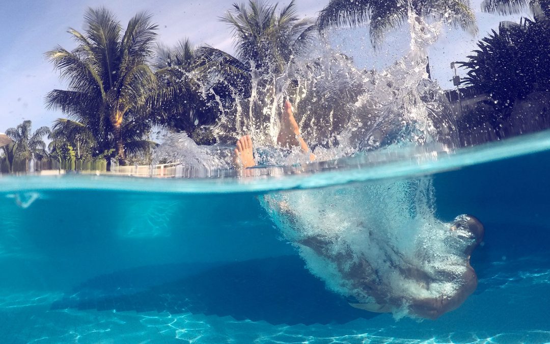 Novo Blog da MeuDome